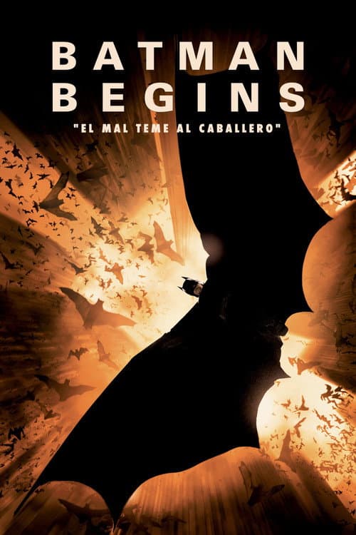 Póster de Batman Begins