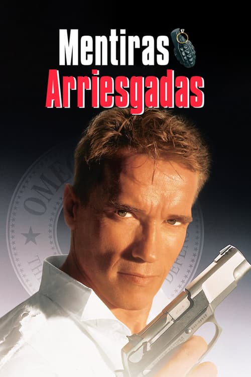 Póster de Mentiras arriesgadas