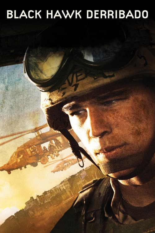 Póster de Black Hawk derribado