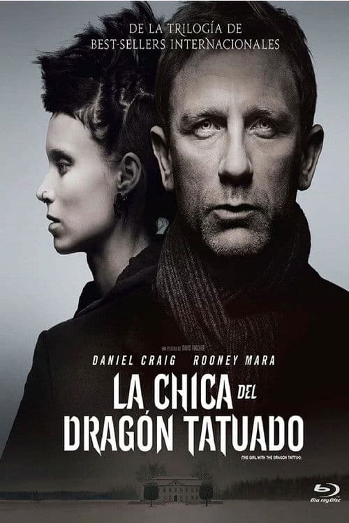 Póster de Millennium: Los hombres que no amaban a las mujeres